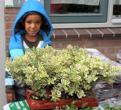 Foto 8 uit StraatBurendag25_09