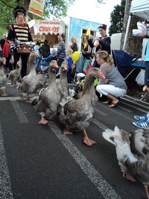 Foto 4 uit Paardenmarkt25-6