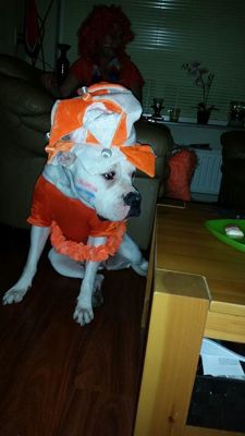 Foto 19 uit OranjeInBeverwaard