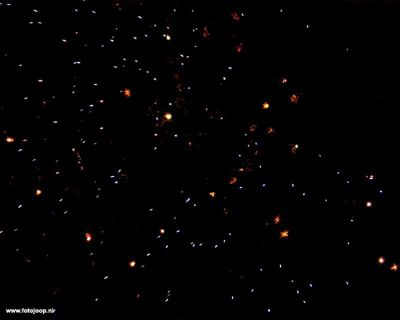 Halloweenbeverwaard07