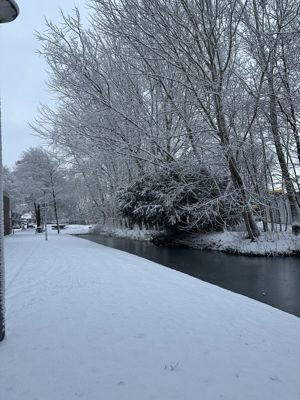 Foto 14 uit X- Sneeuw in de Beverwaard 2026