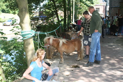 Foto 10 uit Paardenmarkt24-6