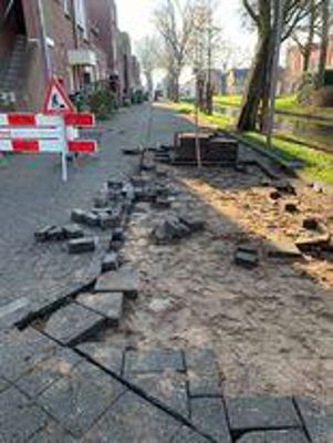 Foto 5 uit Rhijnauwensingel