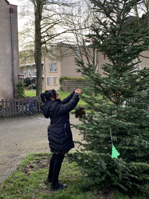 Foto 15 uit Kerstboom optuigen