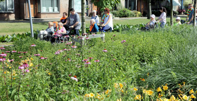 Foto 37 uit Ouderen4daagseSlot