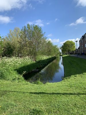 Foto 239 uit StratenBEVERWAARD