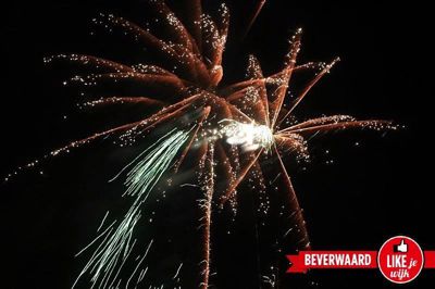 Foto 36 uit Halloween1-11-2014