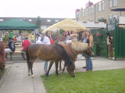 Foto 119 uit country feest 2005