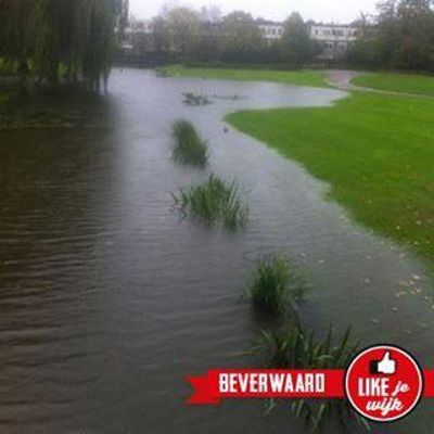 Foto 3 uit HoogWaterBeverwaard