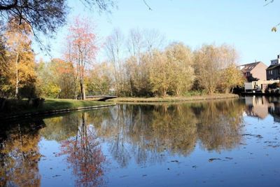 Foto 84 uit X-Herfst Verschillende jaren  2026