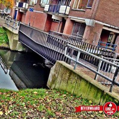 Foto 162 uit LIKEJEWIJK FOTO'S