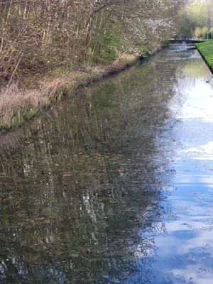 Foto 145 uit Rondje Beverwaard 2026