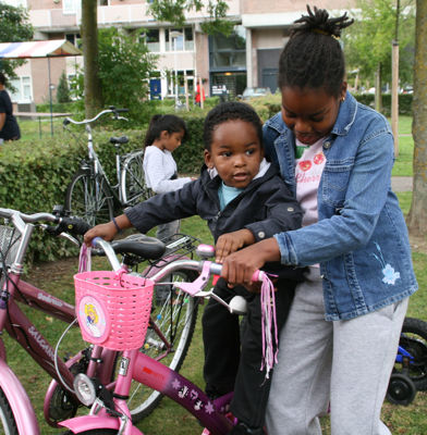 Foto 112 uit Dwightmemorealday!