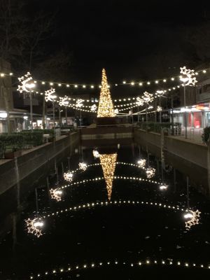 Foto 10 uit Grote Kerstboom WC