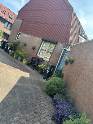 Foto 591 uit Rondje Beverwaard 2026