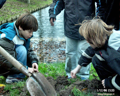 Foto 127 uit bloembollen planten