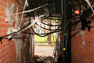 Foto 23 uit HalloweenBeverwaard