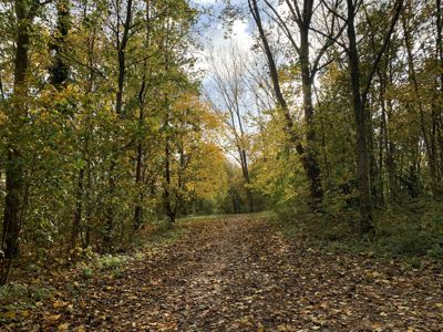 Foto 21 uit X-Herfst Verschillende jaren  2026