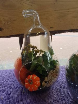 Foto 46 uit NeelyshaBloemen