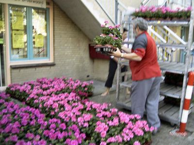 Foto 12 uit opzomeren 2005
