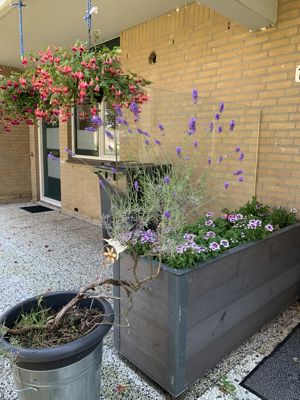 Foto 340 uit Rondje Beverwaard 2026