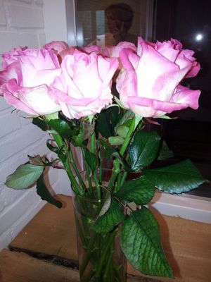 Foto 135 uit NeelyshaBloemen