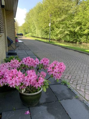 Foto 254 uit StratenBEVERWAARD