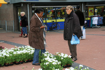 Foto 57 uit OpzoomerenPlantjes