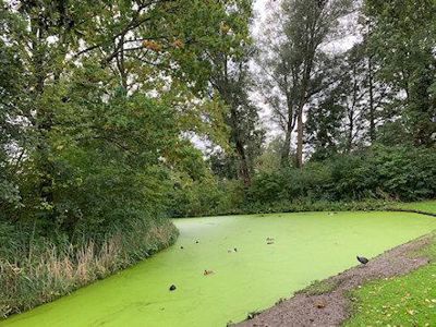 Foto 20 uit Herfst In Beverwaard