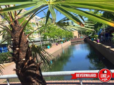 Foto 91 uit LIKEJEWIJK-2016