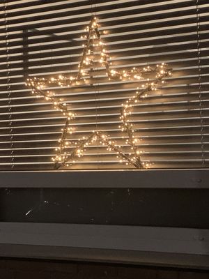 Foto 31 uit Kerst In Beverwaard