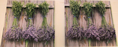 Foto 82 uit De Bloemenboetiek