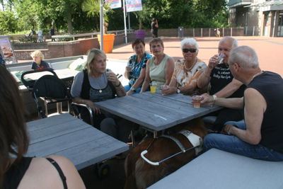 Foto 191 uit Ouderen4Daagse2017