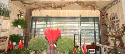 Foto 75 uit De Bloemenboetiek