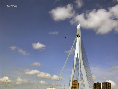 Foto 14 uit red bull air race r.dam