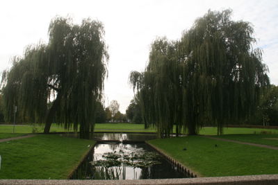 Foto 371 uit StratenBEVERWAARD