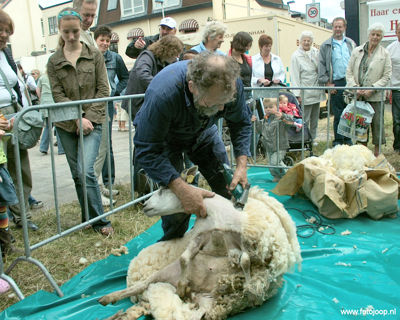 Foto 47 uit Paardenmarkt new07