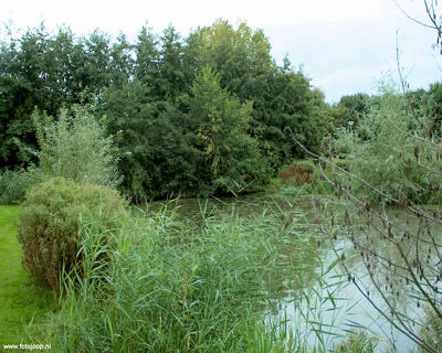 Foto 98 uit Foto's Beverwaard