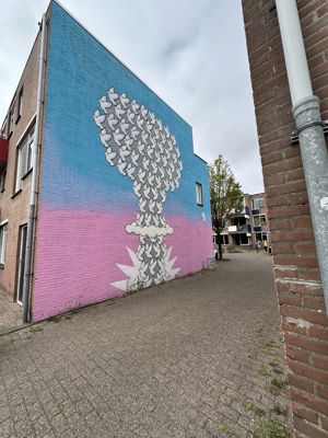 Foto 30 uit All Caps Muurschilderingen Beverwaard 2026