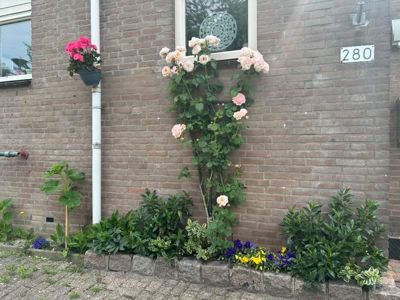 Foto 599 uit Rondje Beverwaard 2026