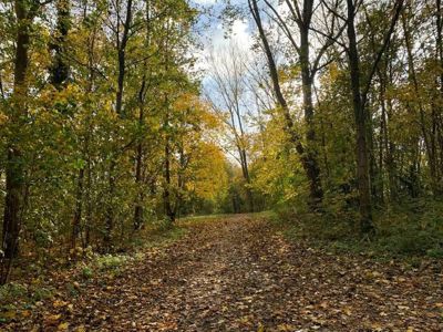 Foto 93 uit X-Herfst Verschillende jaren  2026