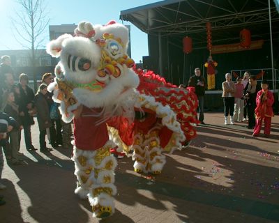 Foto 45 uit chineesnieuwjaar9_2
