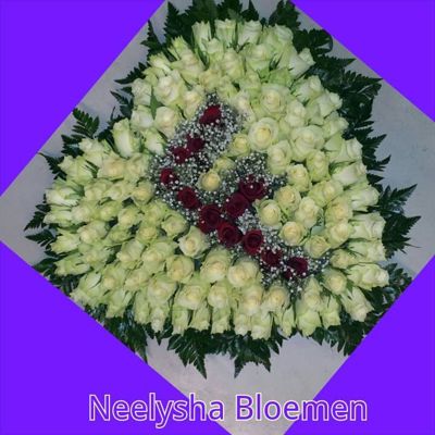 Foto 317 uit NeelyshaBloemen