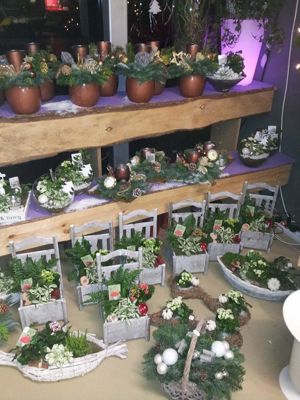 Foto 195 uit NeelyshaBloemen