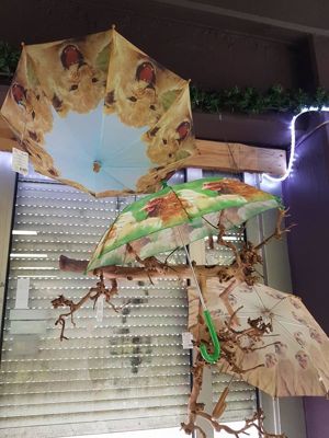 Foto 273 uit NeelyshaBloemen