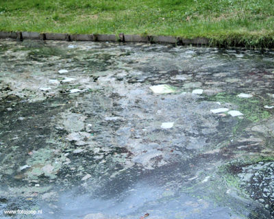 Foto 3 uit vervuiling singel bw