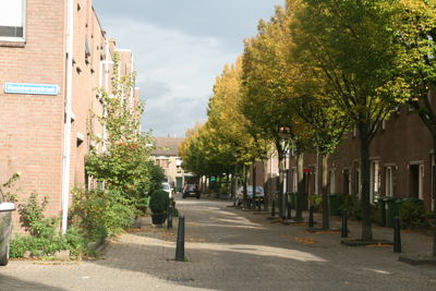 Foto 383 uit StratenBEVERWAARD