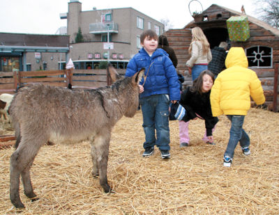 Foto 39 uit Sinterklaas 2009B.W