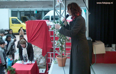 Foto 58 uit krazz loten actie new