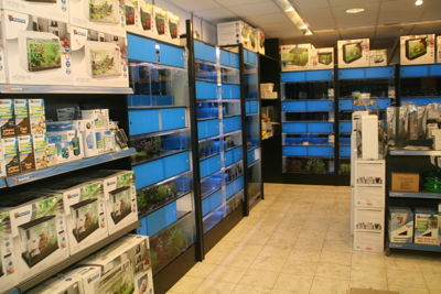 Foto 35 uit Dieren Zaak Catdox